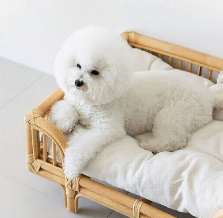 Natural Rattan Square Dog Bed