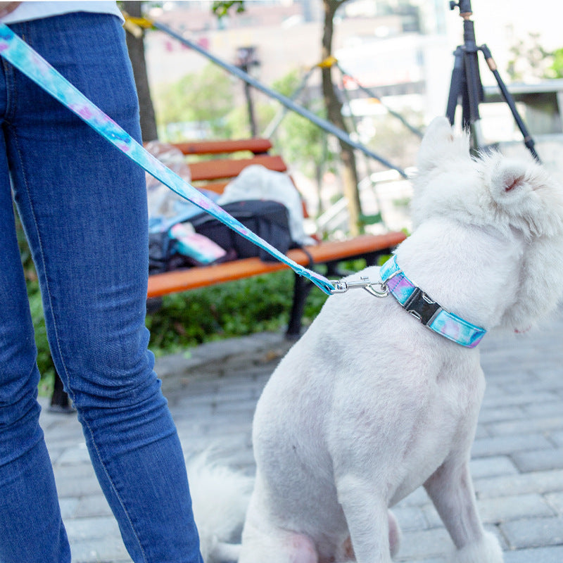 Foreign Trade Durable Dog Collar