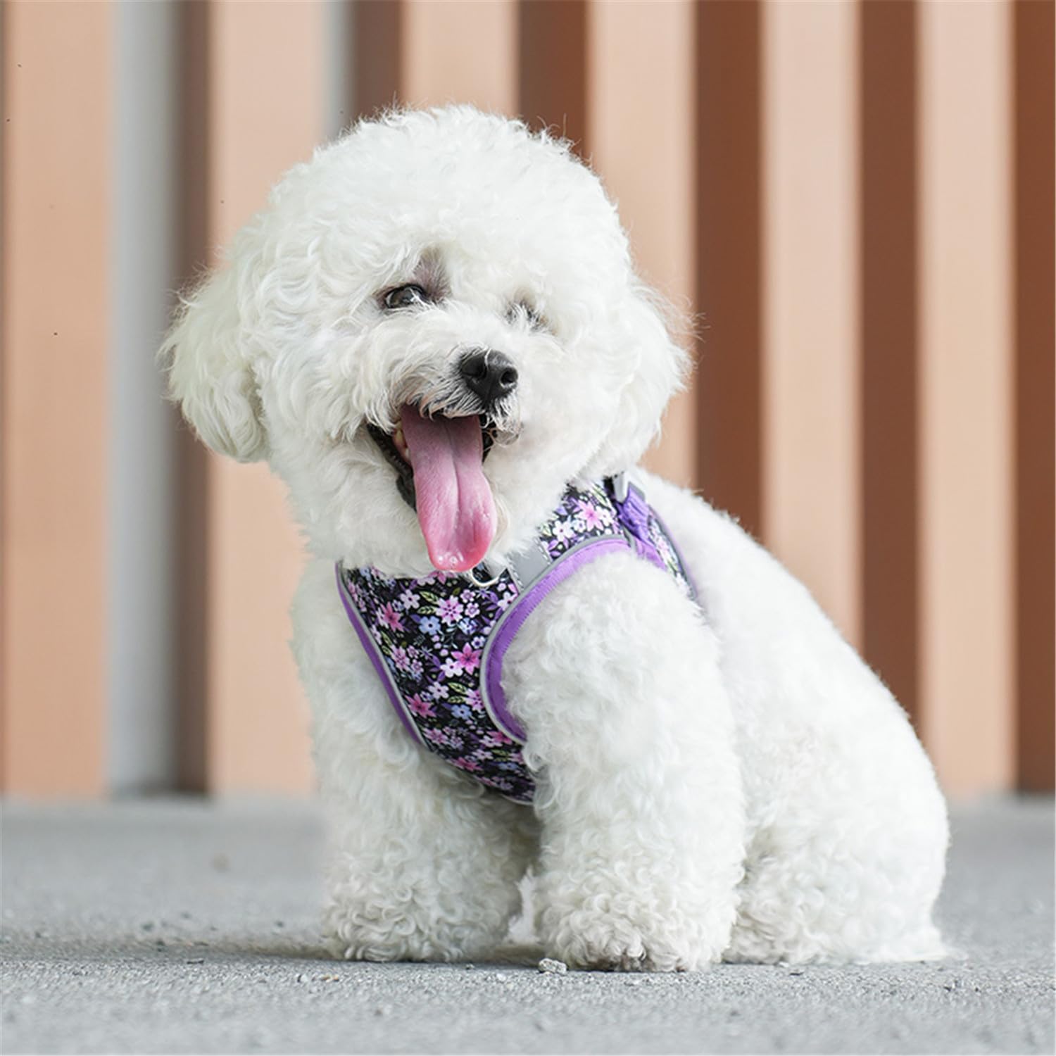 Adjustable Soft Mesh Reflective Pet Harness And Leash Set
