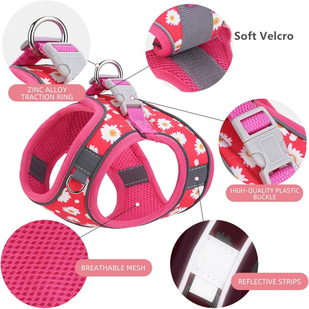 Adjustable Soft Mesh Reflective Pet Harness And Leash Set