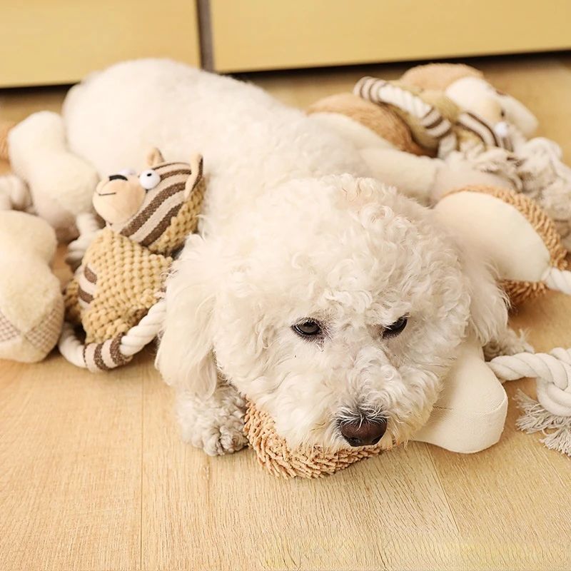 Pet Cotton Rope Toy - Bite-Resistant