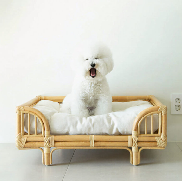 Natural Rattan Square Dog Bed
