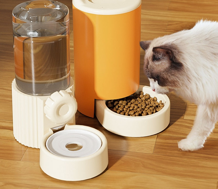 Cat Water Dispenser & Automatic Feeder