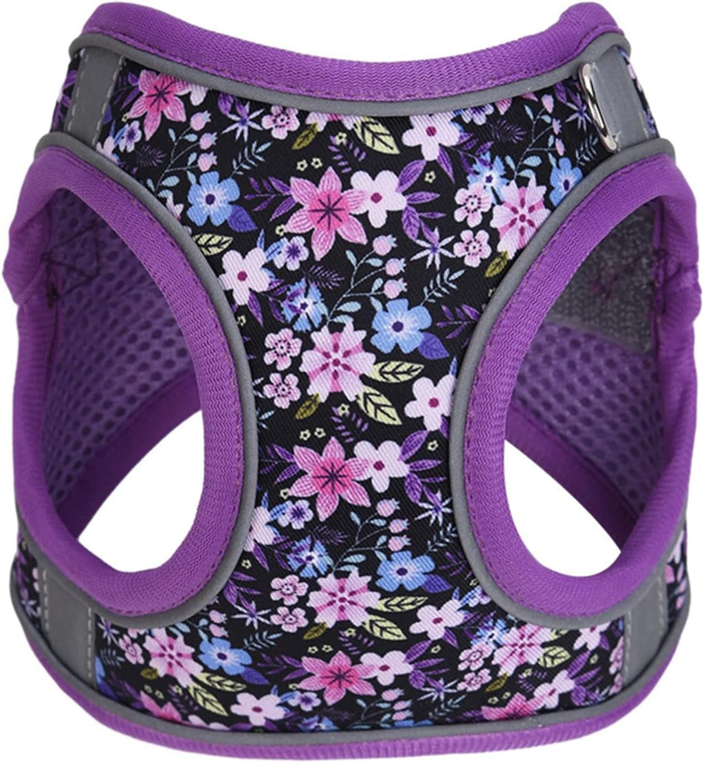 Adjustable Soft Mesh Reflective Pet Harness And Leash Set